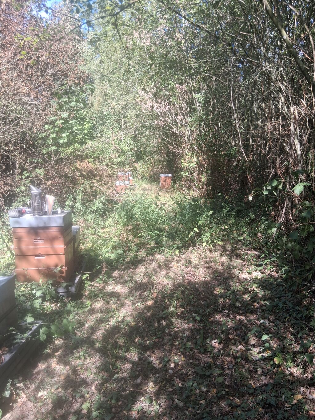 La ruche Adagio Access Vanves Porte de Châtillon