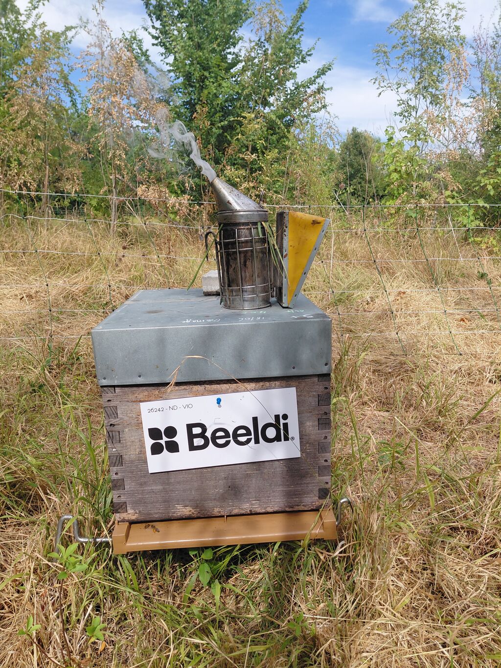 La ruche BEELDI