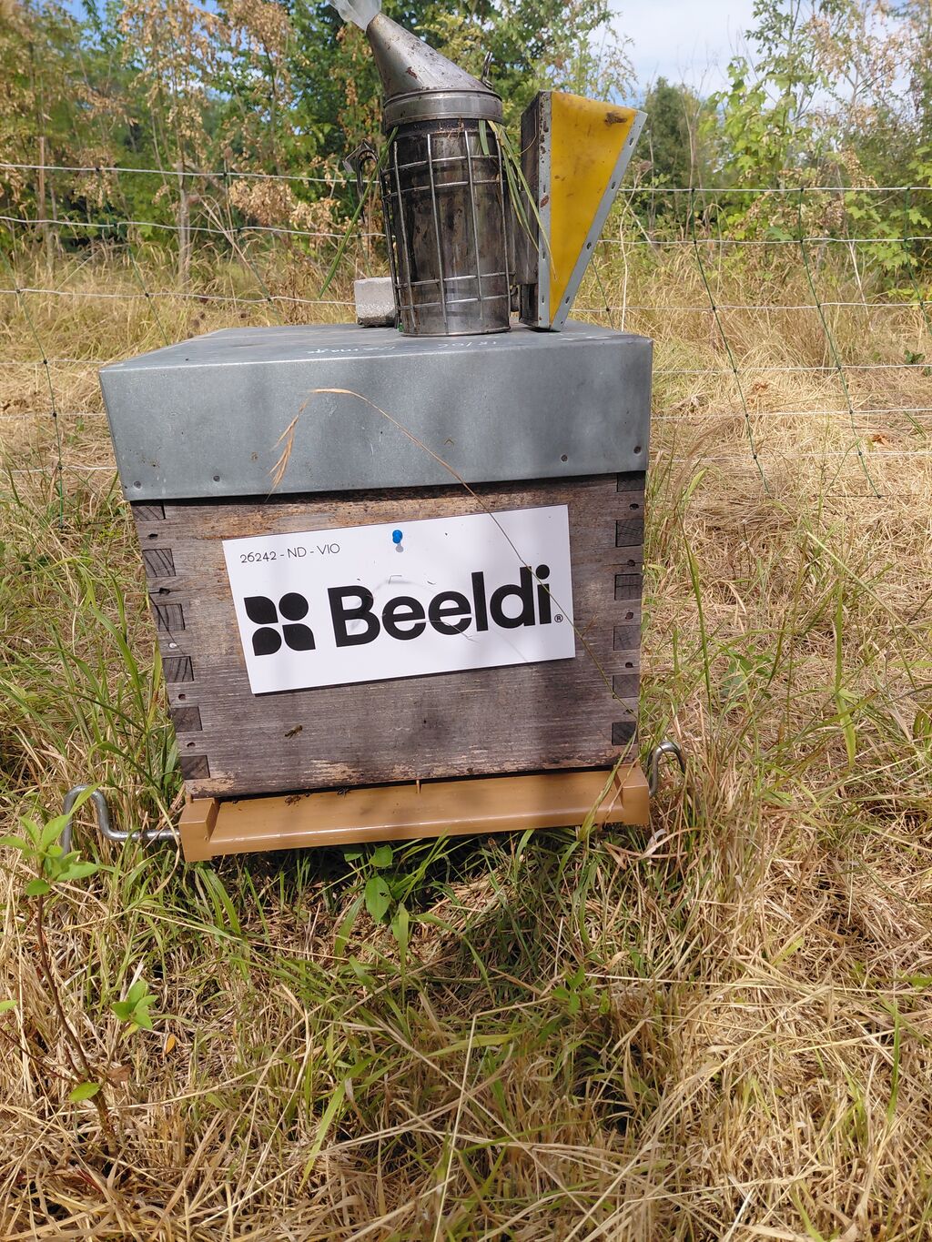 La ruche BEELDI