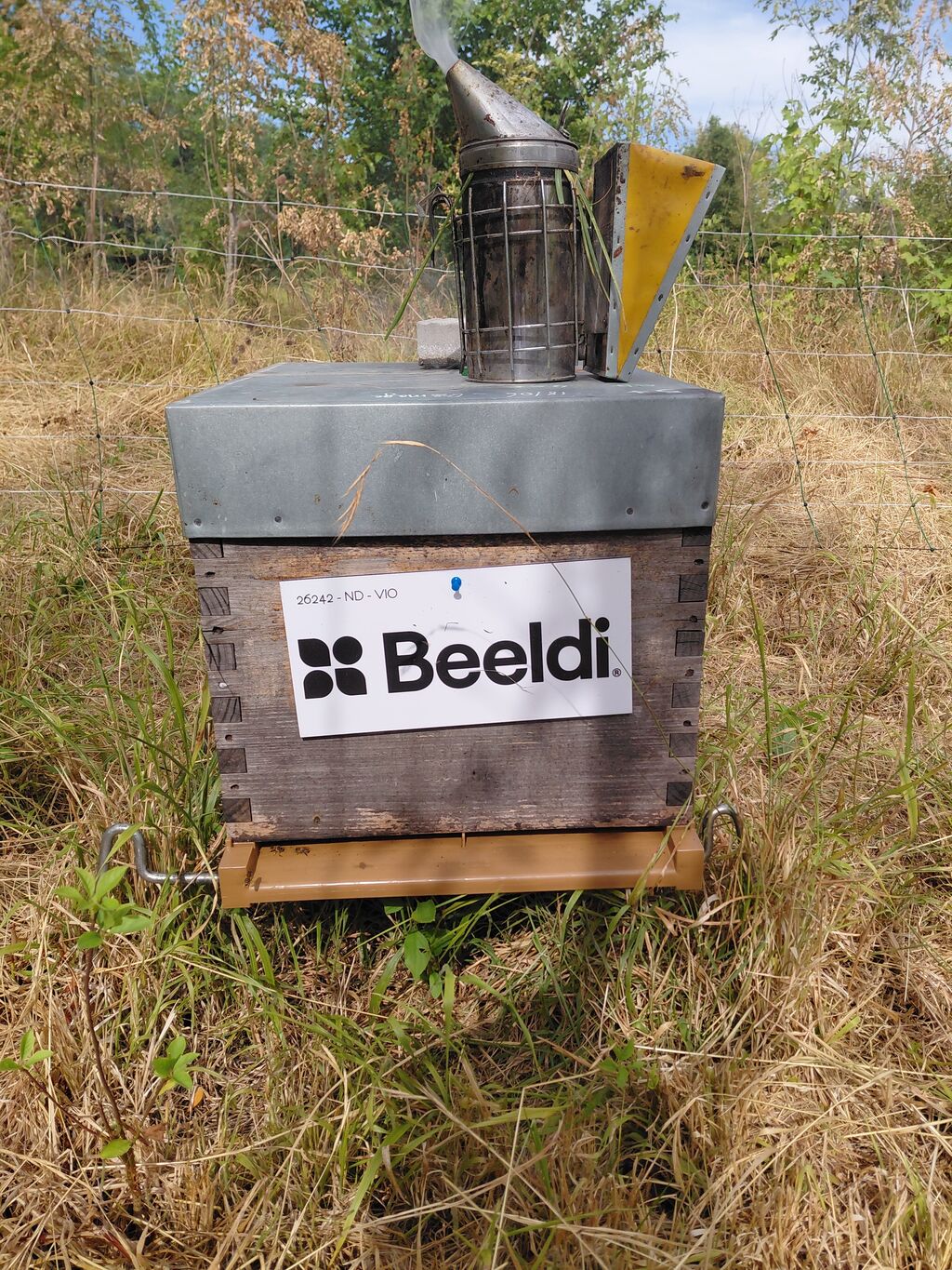 La ruche BEELDI