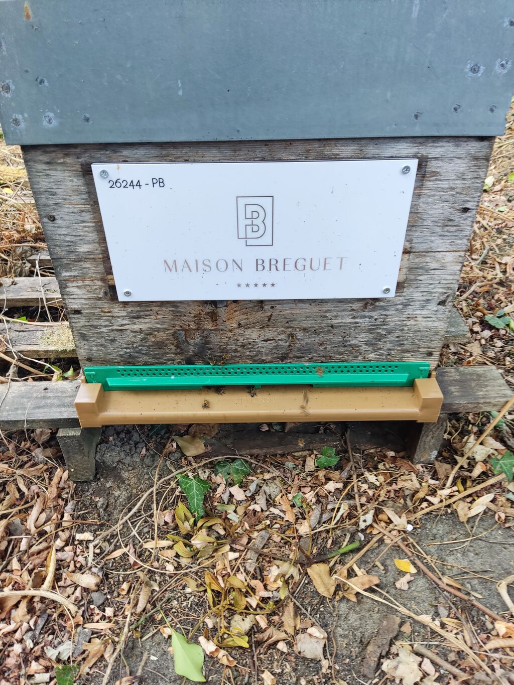 La ruche SAS Bridiscol - Hotel Maison Bregue