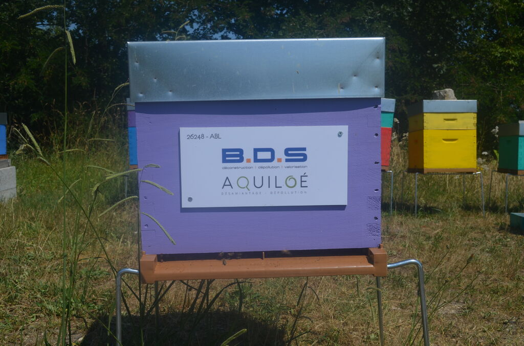 La ruche Bds - aquiloe