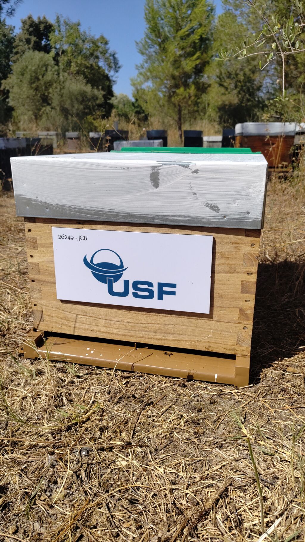 La ruche USF