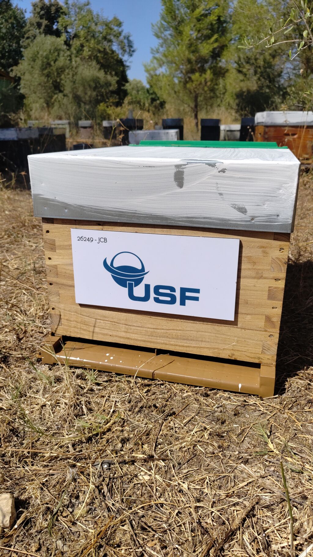 La ruche USF