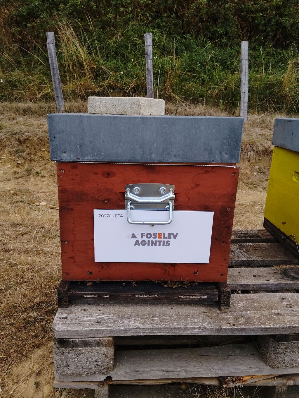 La ruche FOSELEV AGINTIS Vénissieux