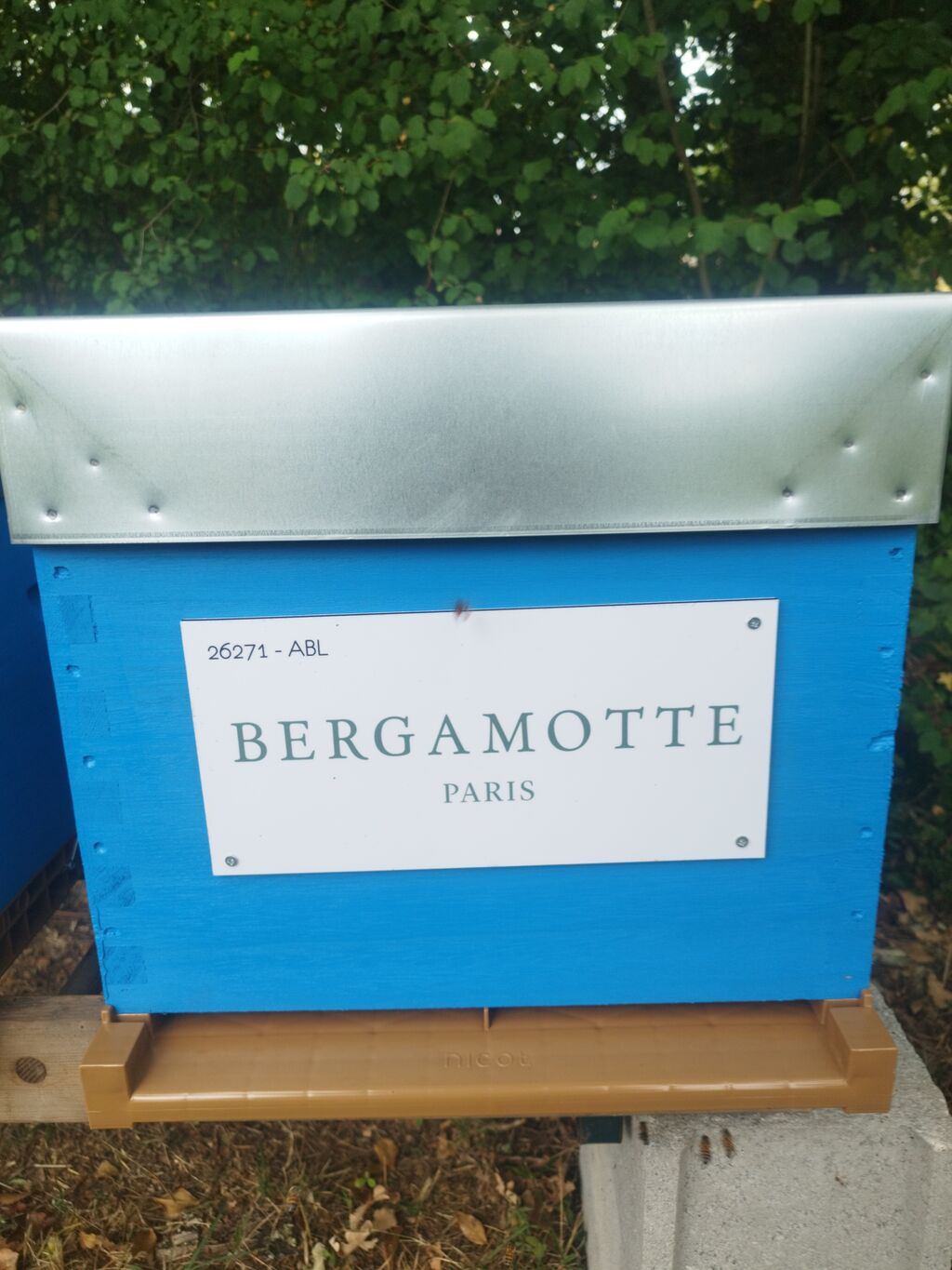 La ruche Bergamotte