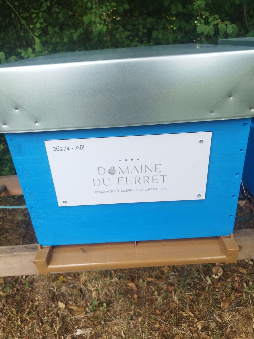 La ruche DOMAINE DU FERRET