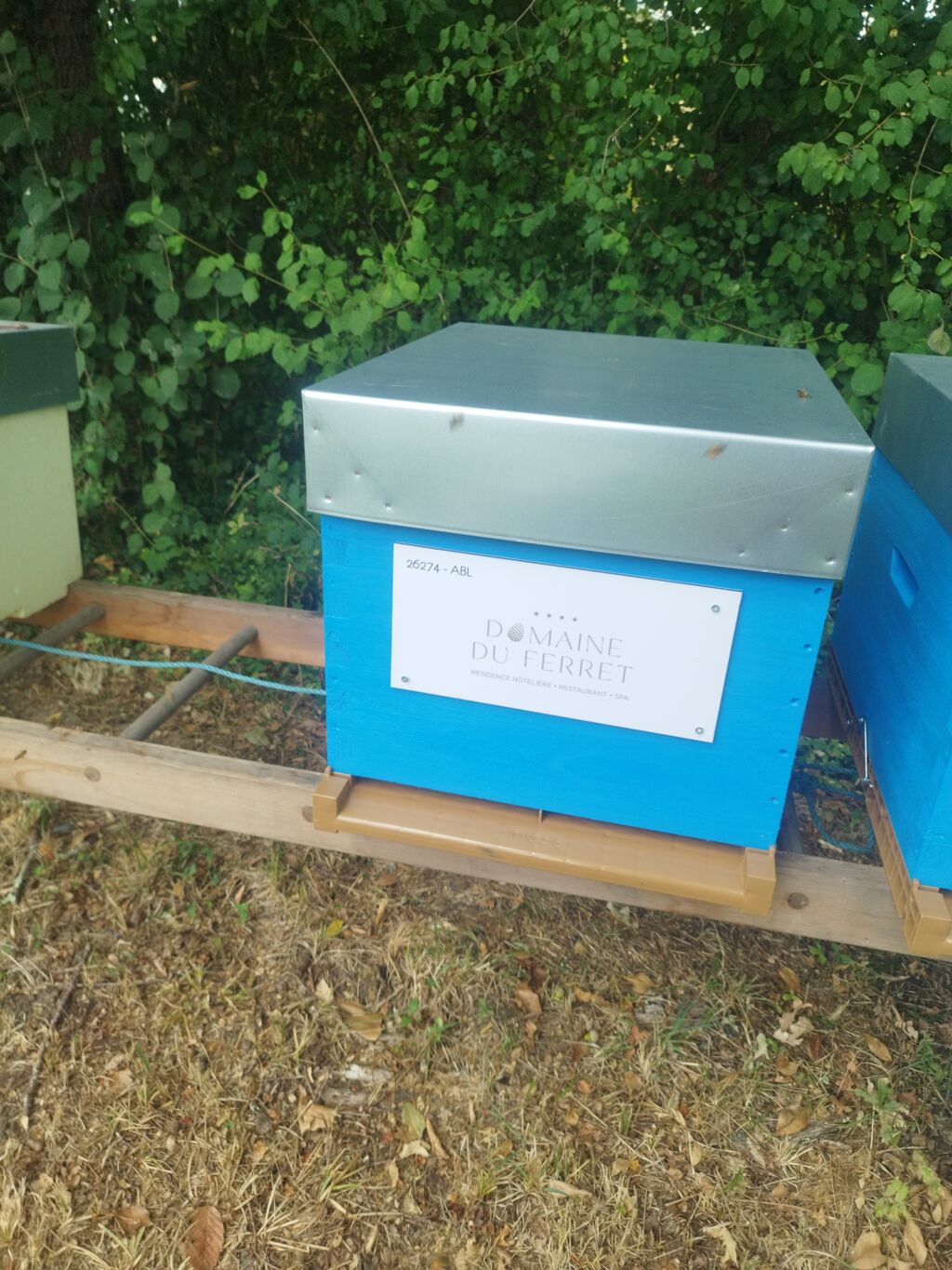 La ruche DOMAINE DU FERRET