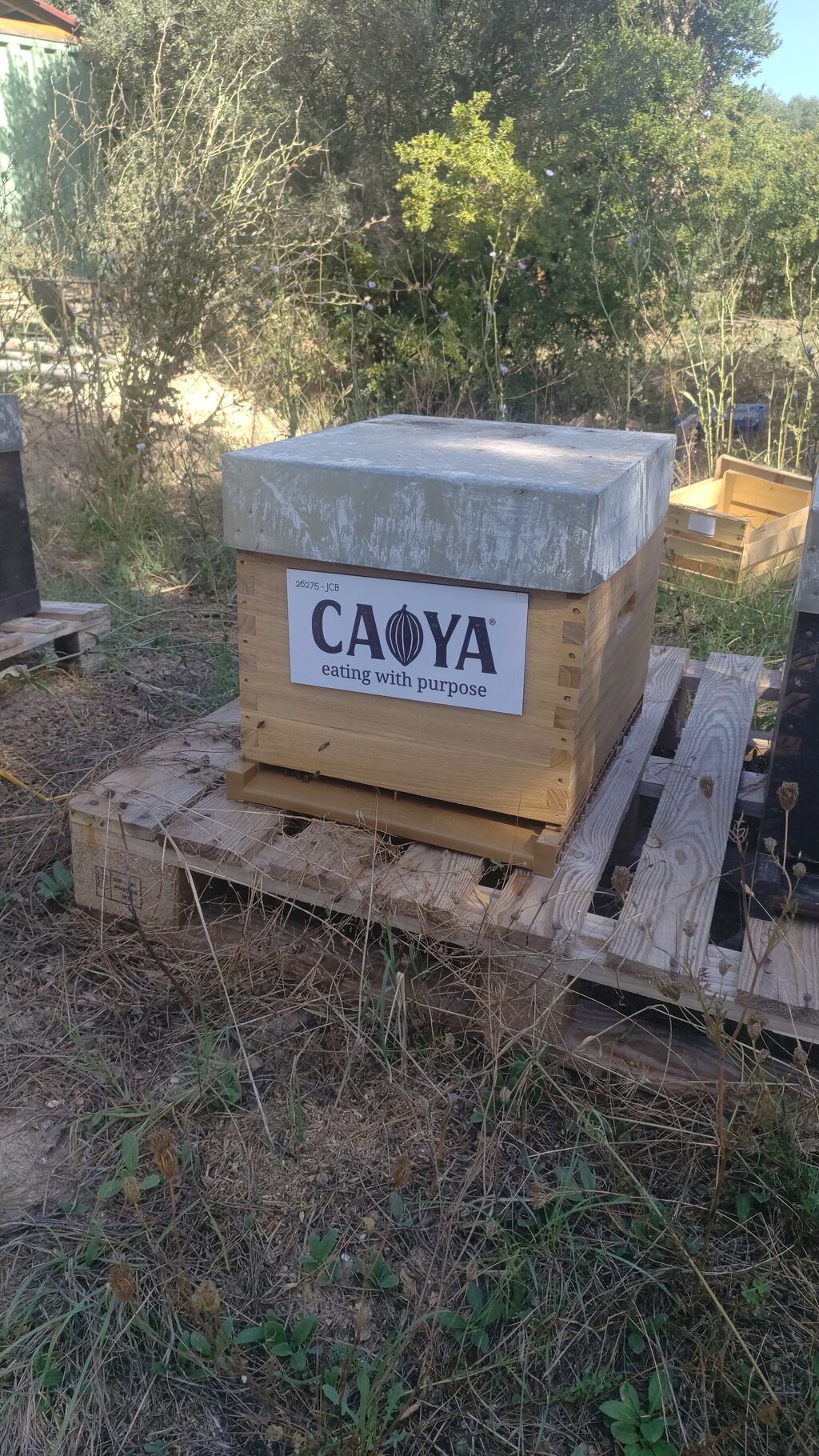 La ruche CAOYA Chocolat