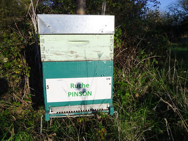 La ruche Pinson