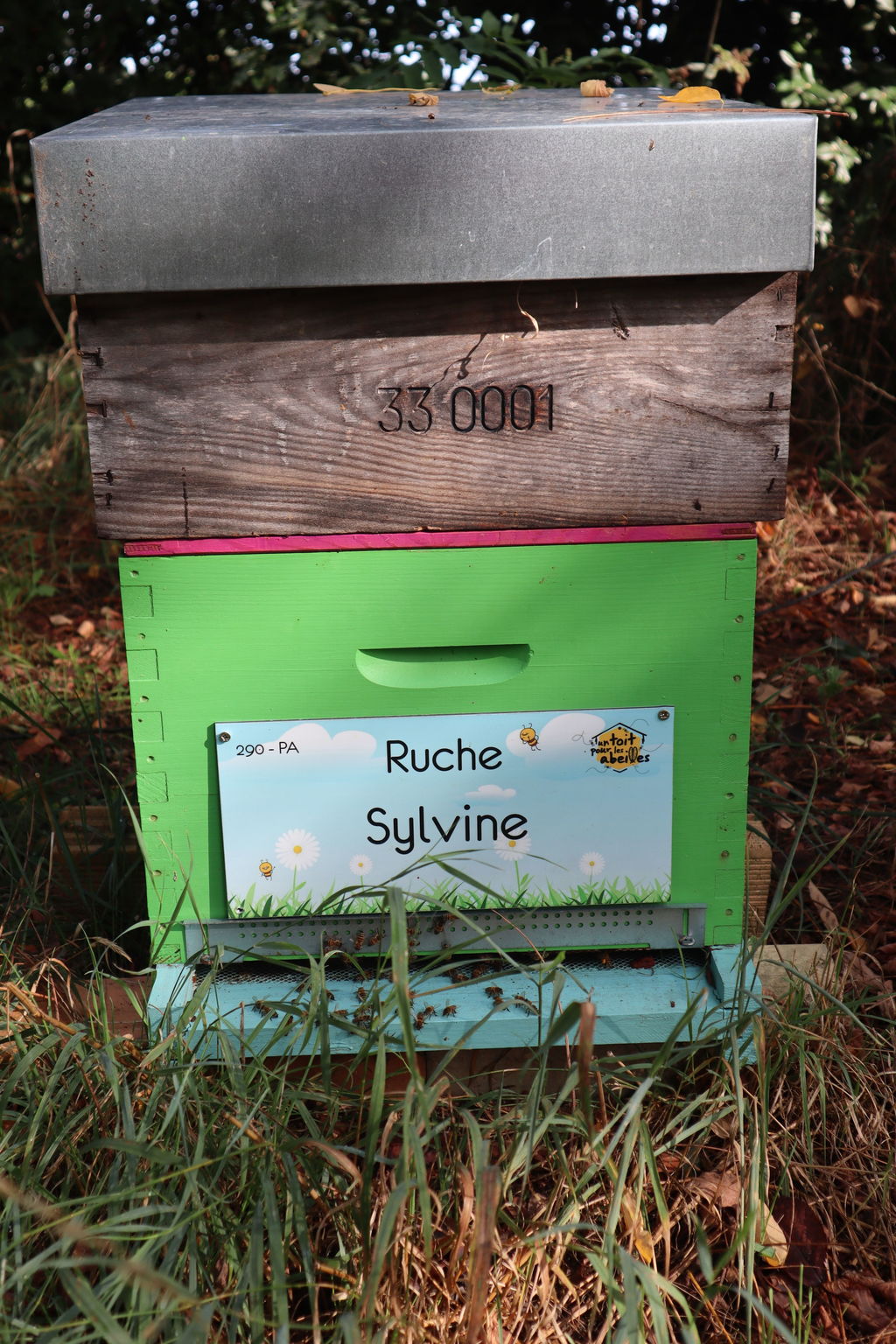 La ruche Sylvine