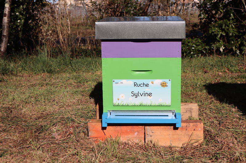 La ruche Sylvine
