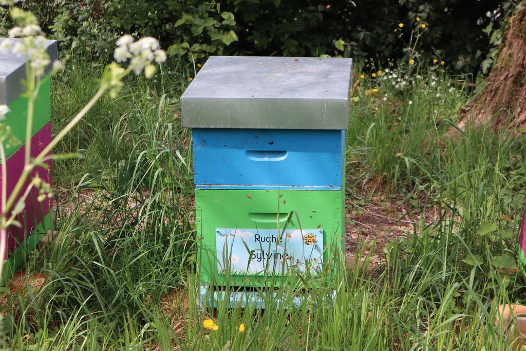 La ruche Sylvine
