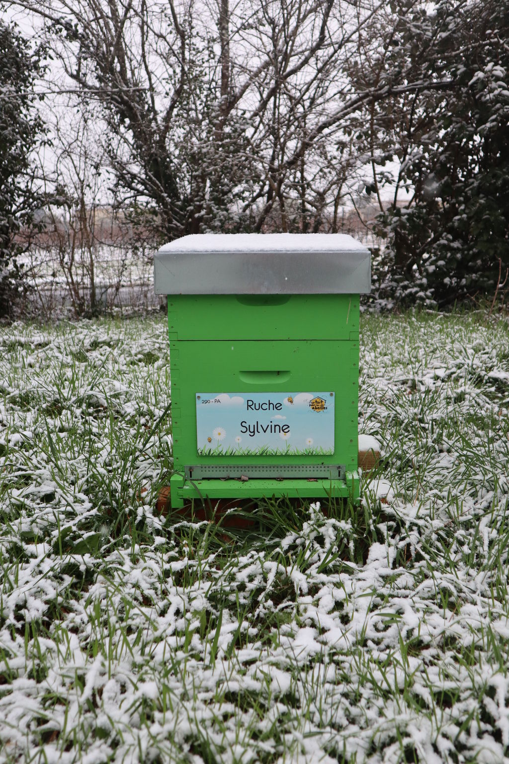 La ruche Sylvine