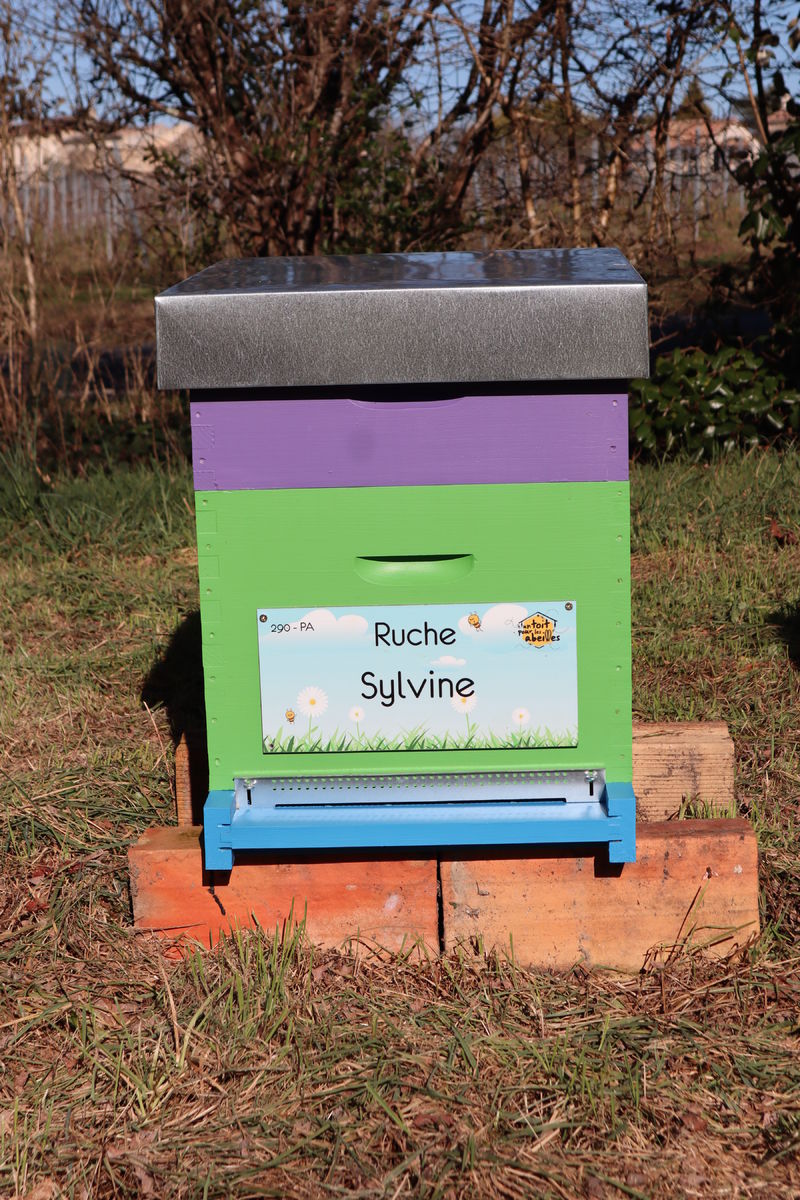 La ruche Sylvine
