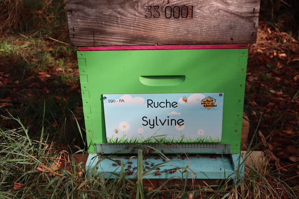 La ruche Sylvine