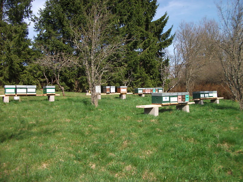 La ruche Feeder