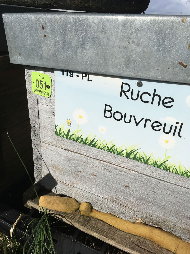 La ruche Bouvreuil
