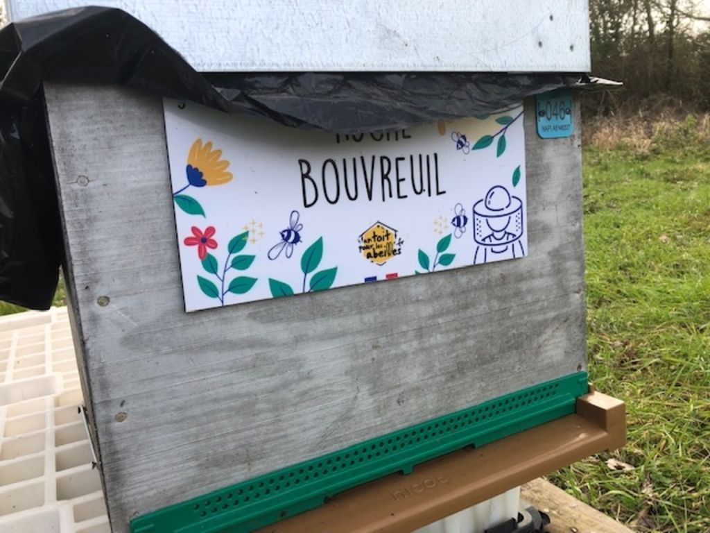 La ruche Bouvreuil