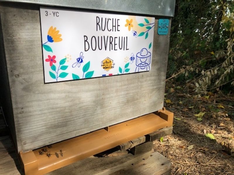 La ruche Bouvreuil