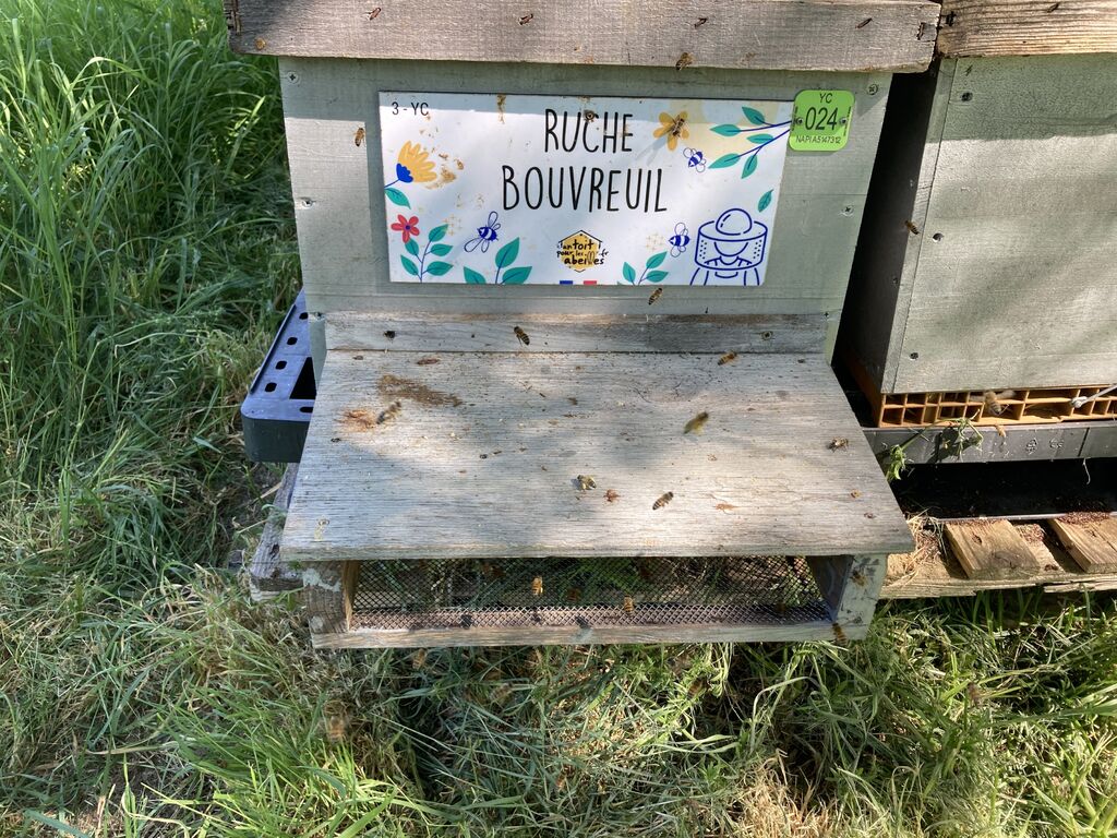 La ruche Bouvreuil