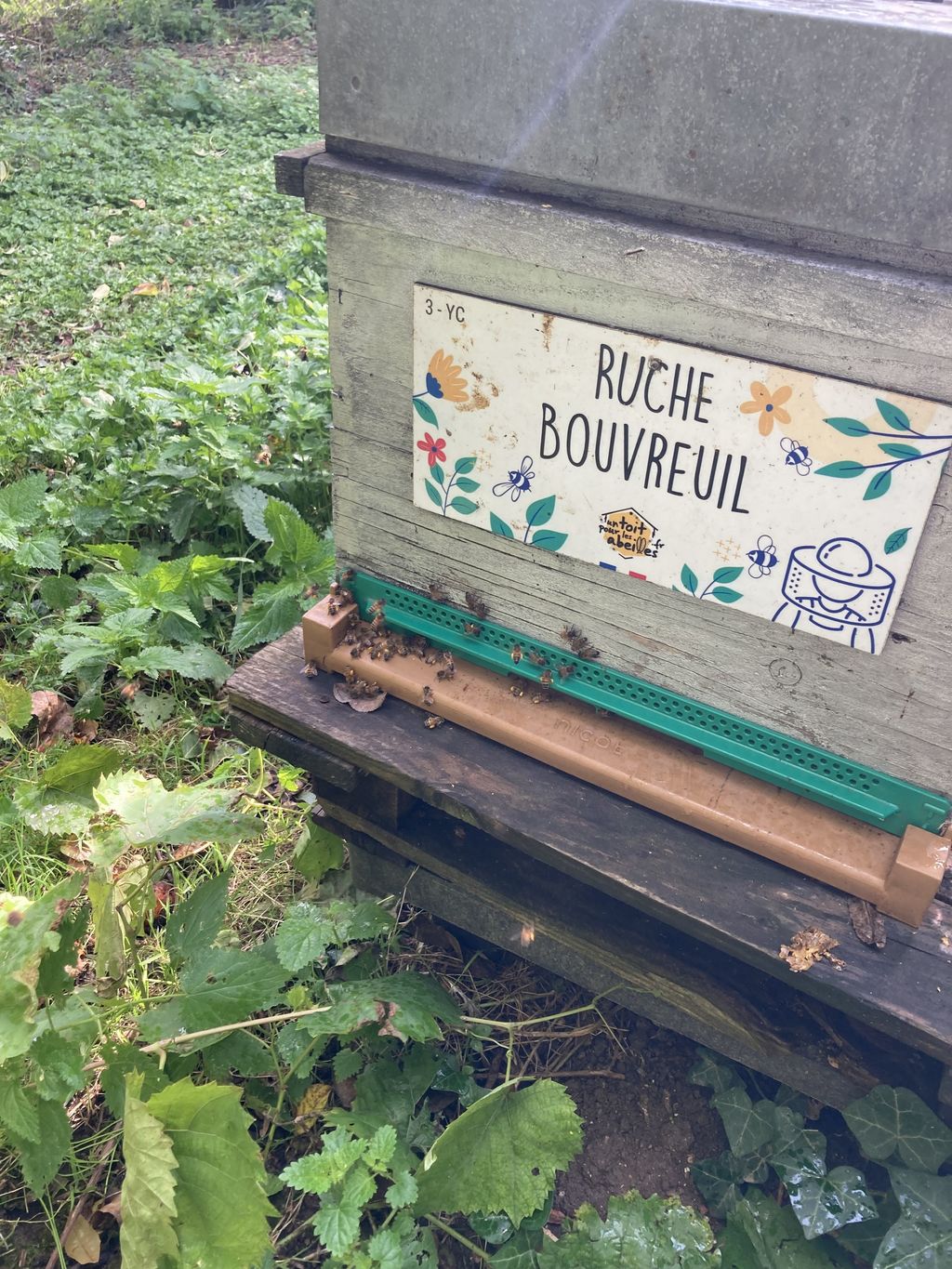 La ruche Bouvreuil