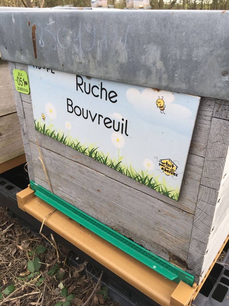 La ruche Bouvreuil