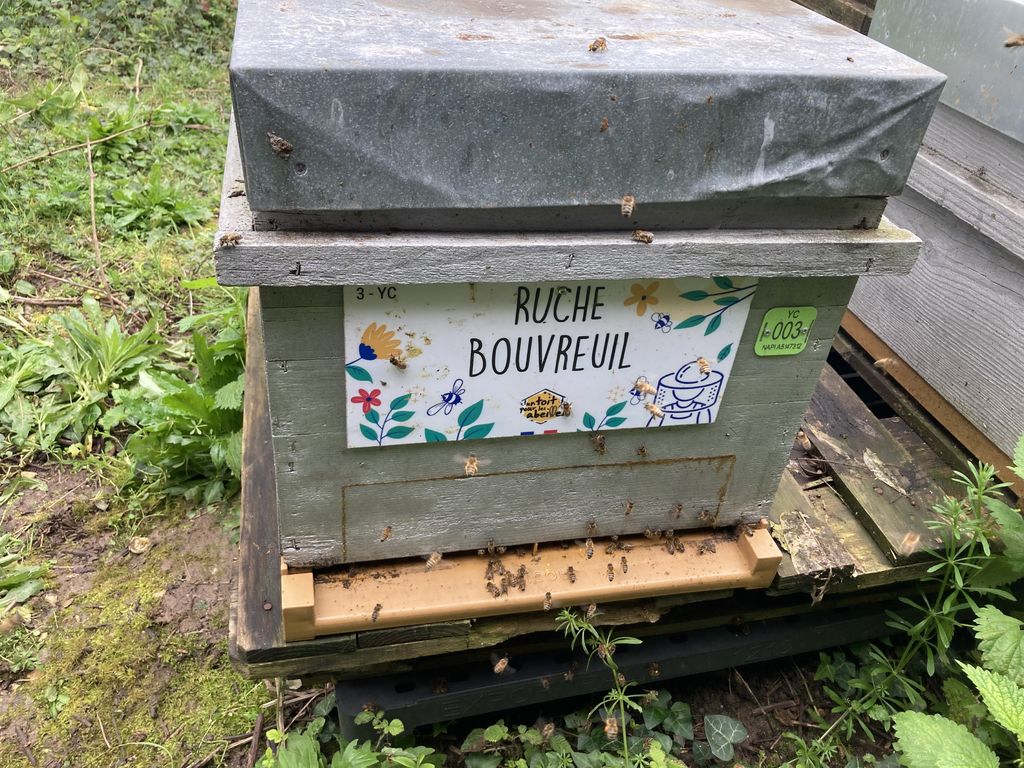 La ruche Bouvreuil