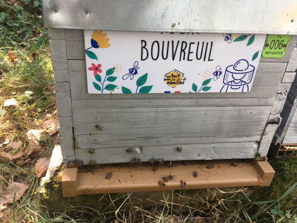 La ruche Bouvreuil