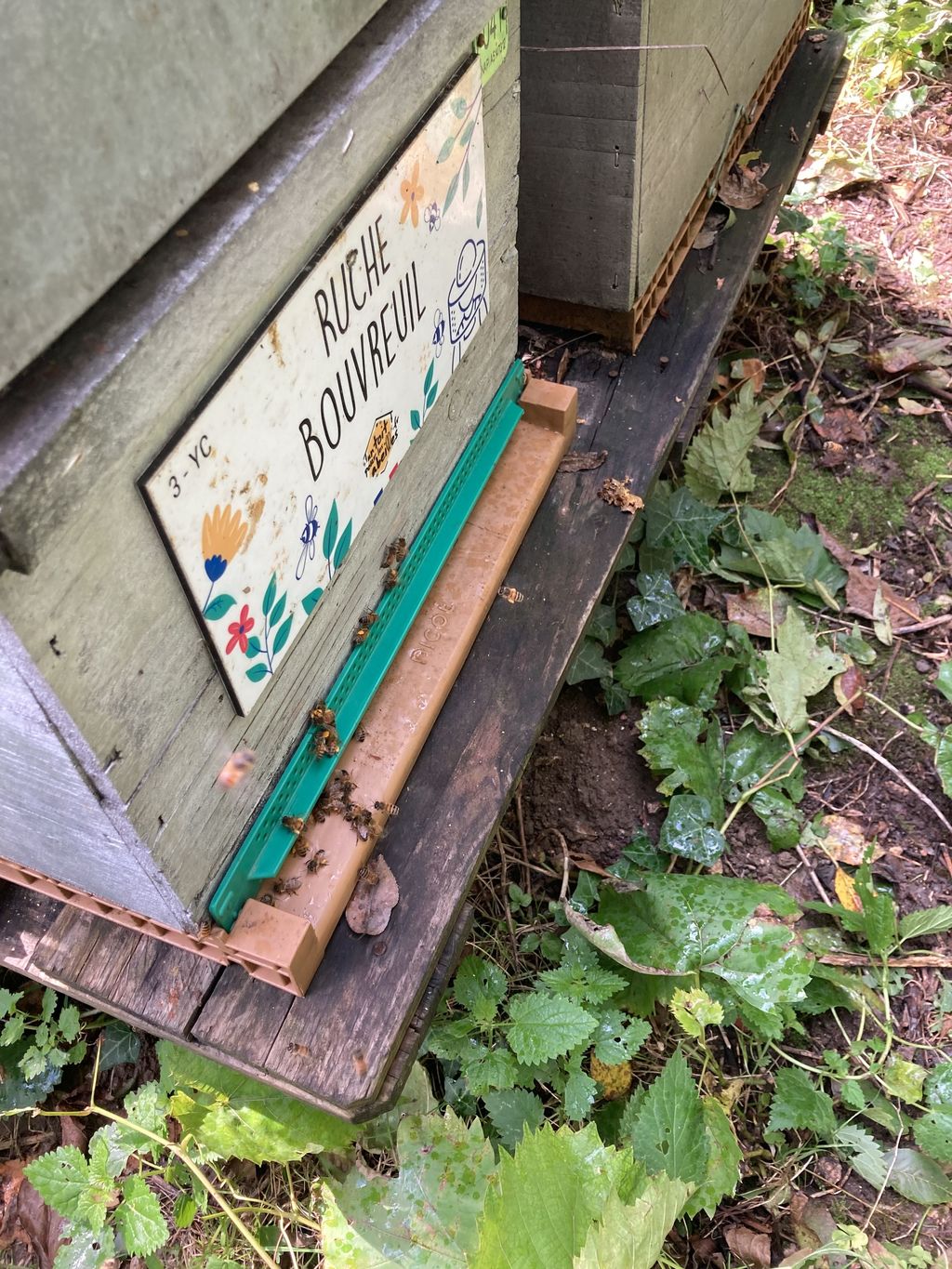 La ruche Bouvreuil