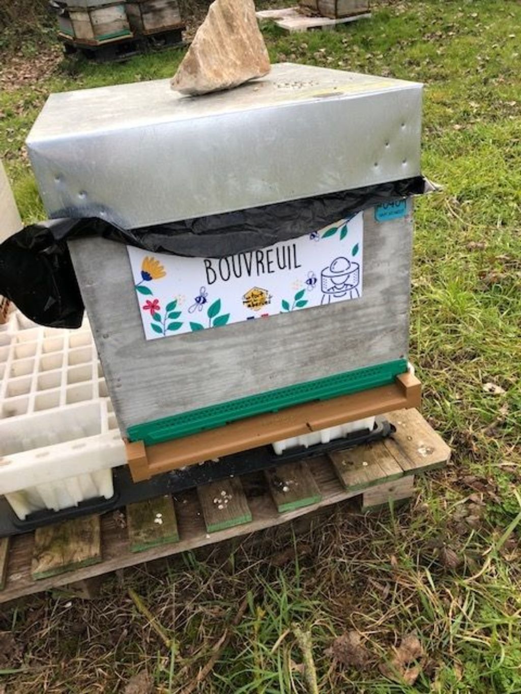 La ruche Bouvreuil