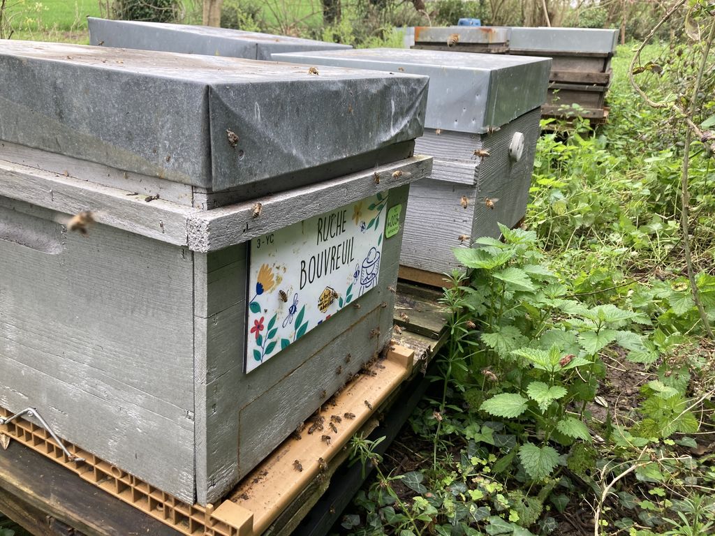 La ruche Bouvreuil