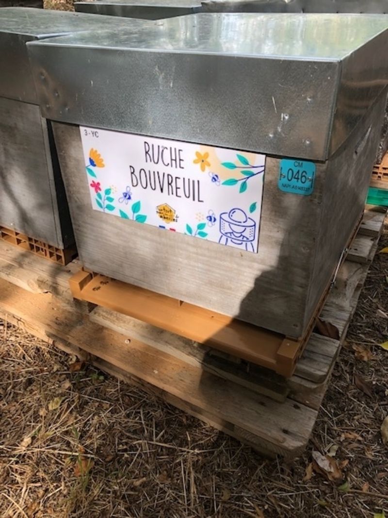 La ruche Bouvreuil
