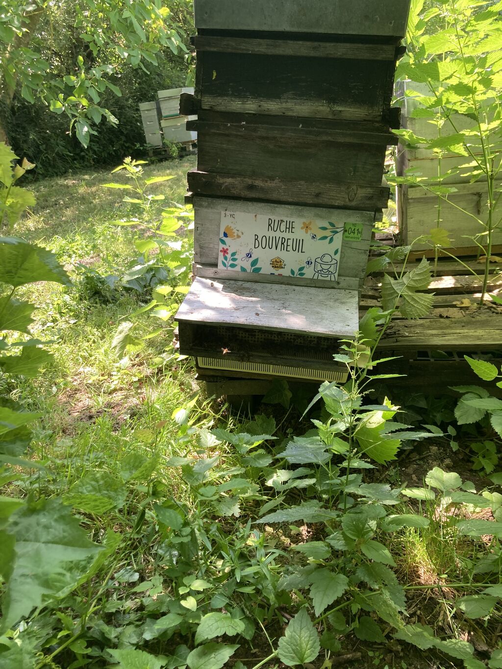 La ruche Bouvreuil