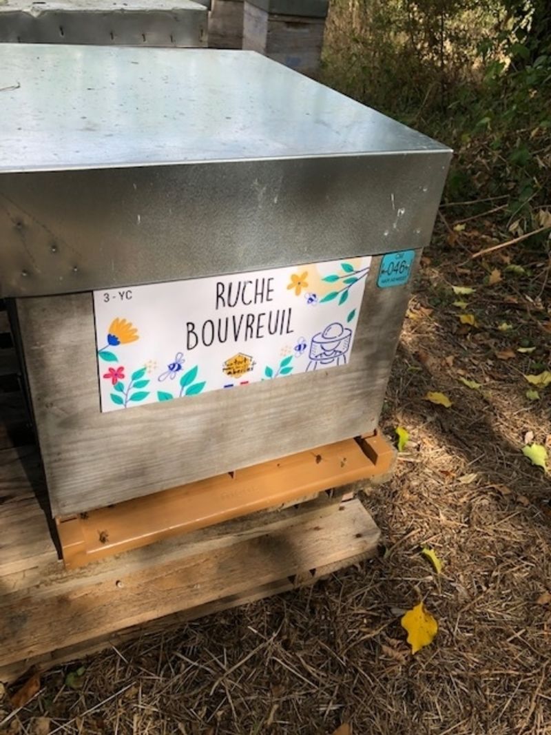 La ruche Bouvreuil