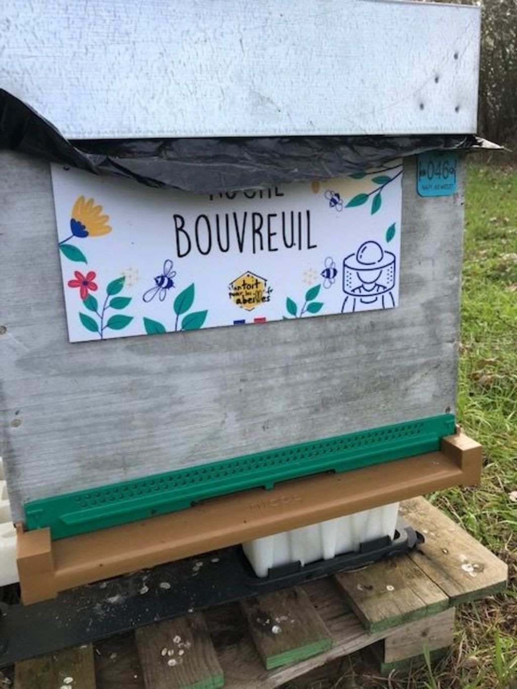 La ruche Bouvreuil