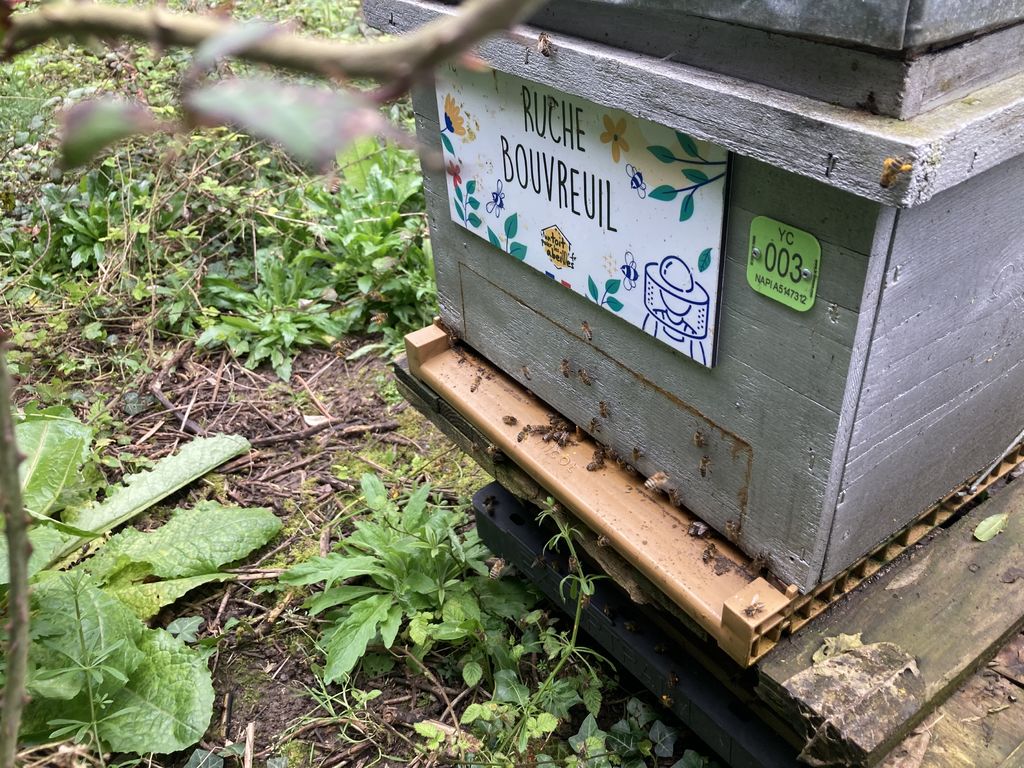 La ruche Bouvreuil