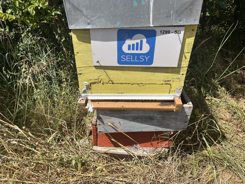 La ruche SELLSY