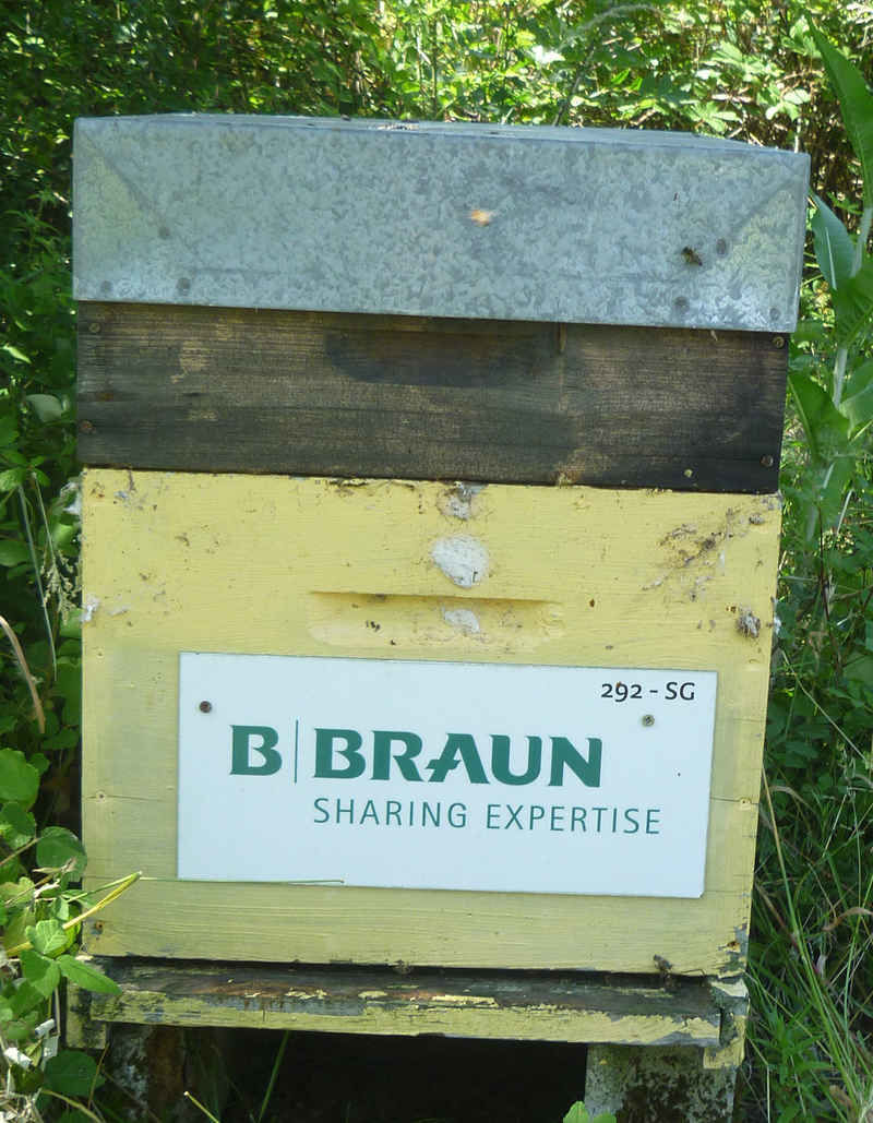 La ruche B  Braun Medical