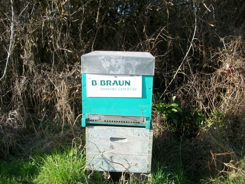 La ruche B  Braun Medical
