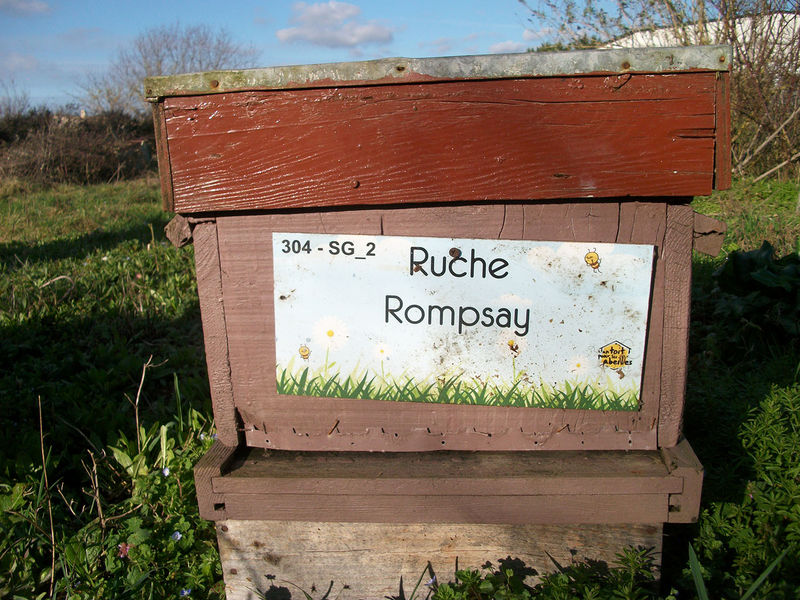 La ruche Rompsay