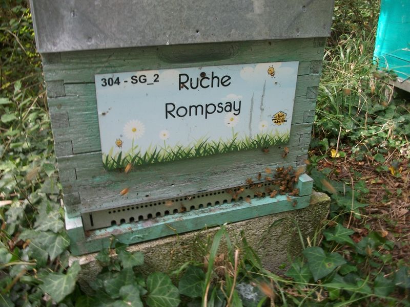 La ruche Rompsay
