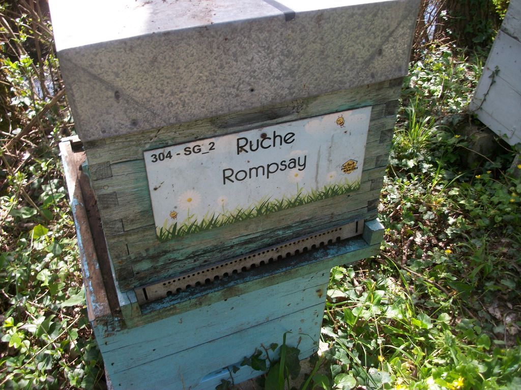 La ruche