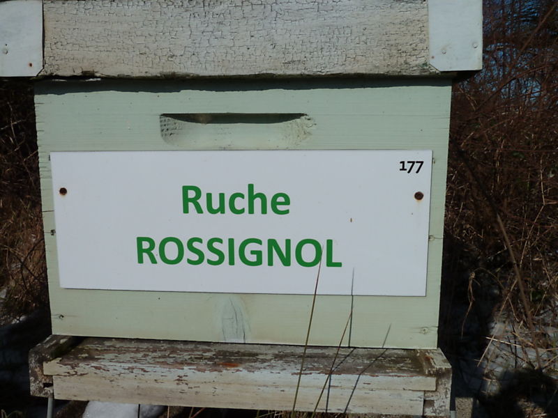 La ruche Rossignol
