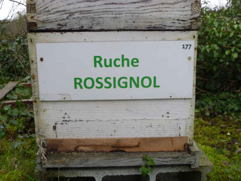 La ruche Rossignol