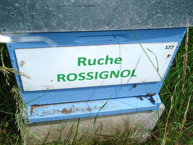 La ruche Rossignol