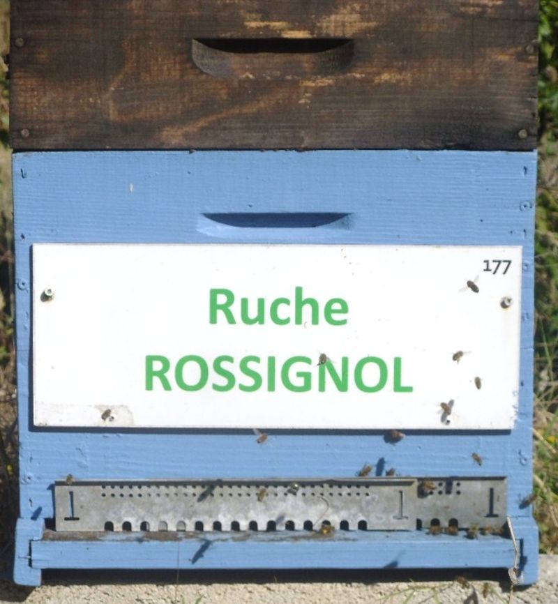 La ruche Rossignol