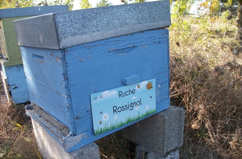 La ruche Rossignol