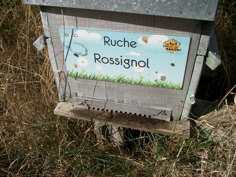 La ruche Rossignol