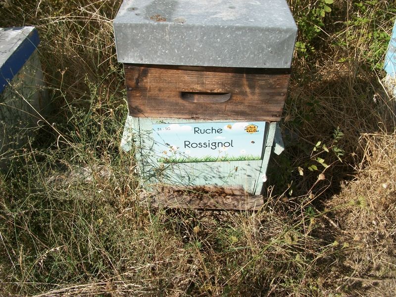 La ruche Rossignol